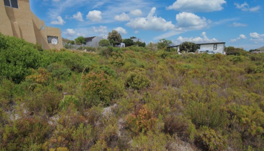 0 Bedroom Property for Sale in Pringle Bay Western Cape